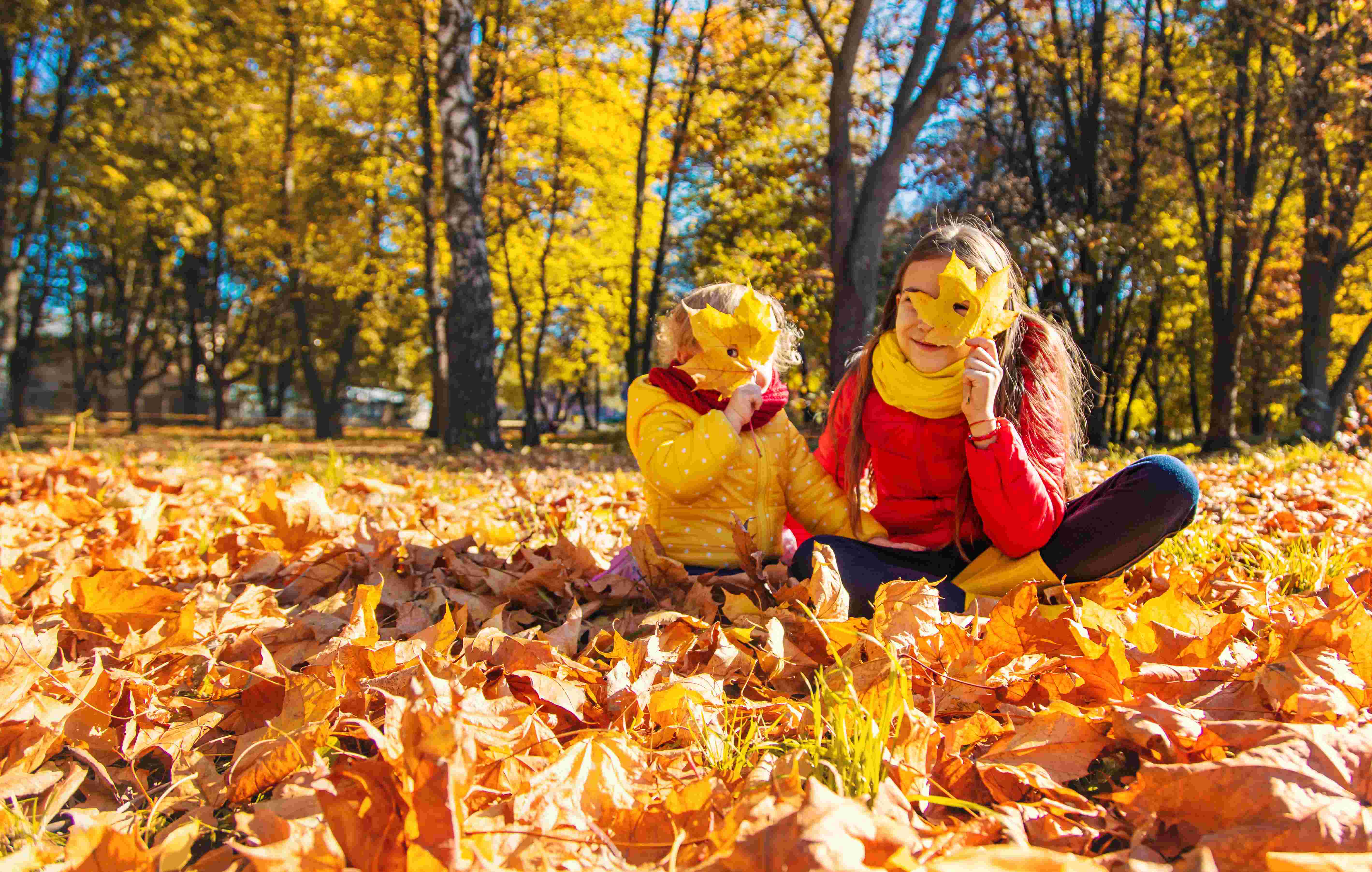 children playing in fall leaves